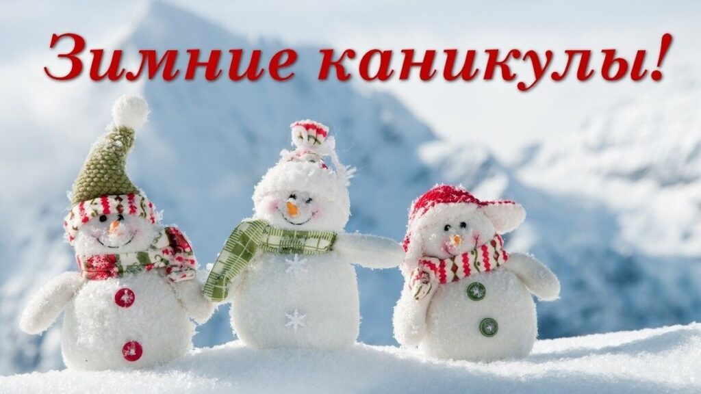 Как провести новогодние каникулы с пользой